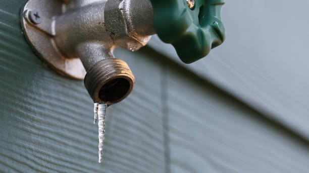 Best Local Plumber Services  in Martsville, IN